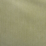 OLIVE / WHITE