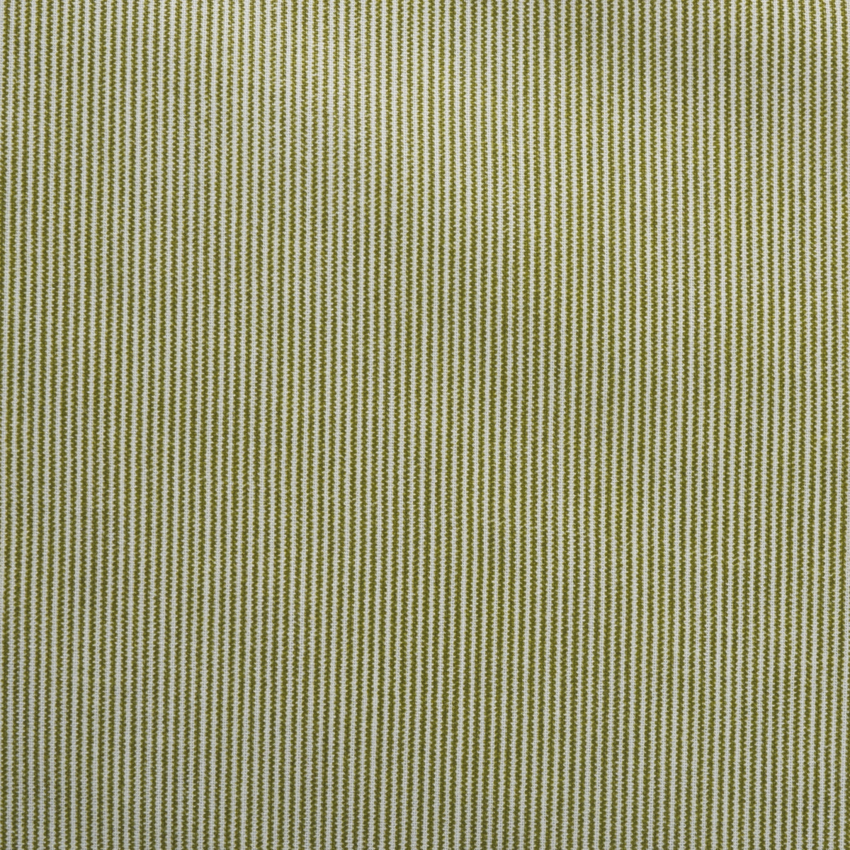 OLIVE / WHITE