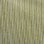 OLIVE / WHITE