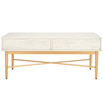 Safavieh Pierre 2 Drawer Coffee Table, COF6404 - White Washed / Gold
