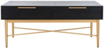 Safavieh Pierre 2 Drawer Coffee Table, COF6404 - Black / Gold