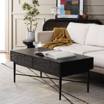 Safavieh Pierre 2 Drawer Coffee Table, COF6404 - Black