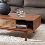 Safavieh Ceu 2 Door Coffee Table, COF9602 - Walnut/ Gold