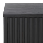 Safavieh Lylia 2 Door Coffee Table, COF9603 - Black / Black