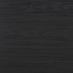 Safavieh Lylia 2 Door Coffee Table, COF9603 - Black / Black