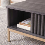 Safavieh Lylia 2 Door Coffee Table, COF9603 - Distressed Black / Gold