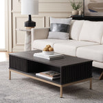 Safavieh Lylia 2 Door Coffee Table, COF9603 - Distressed Black / Gold