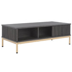 Safavieh Lylia 2 Door Coffee Table, COF9603 - Distressed Black / Gold