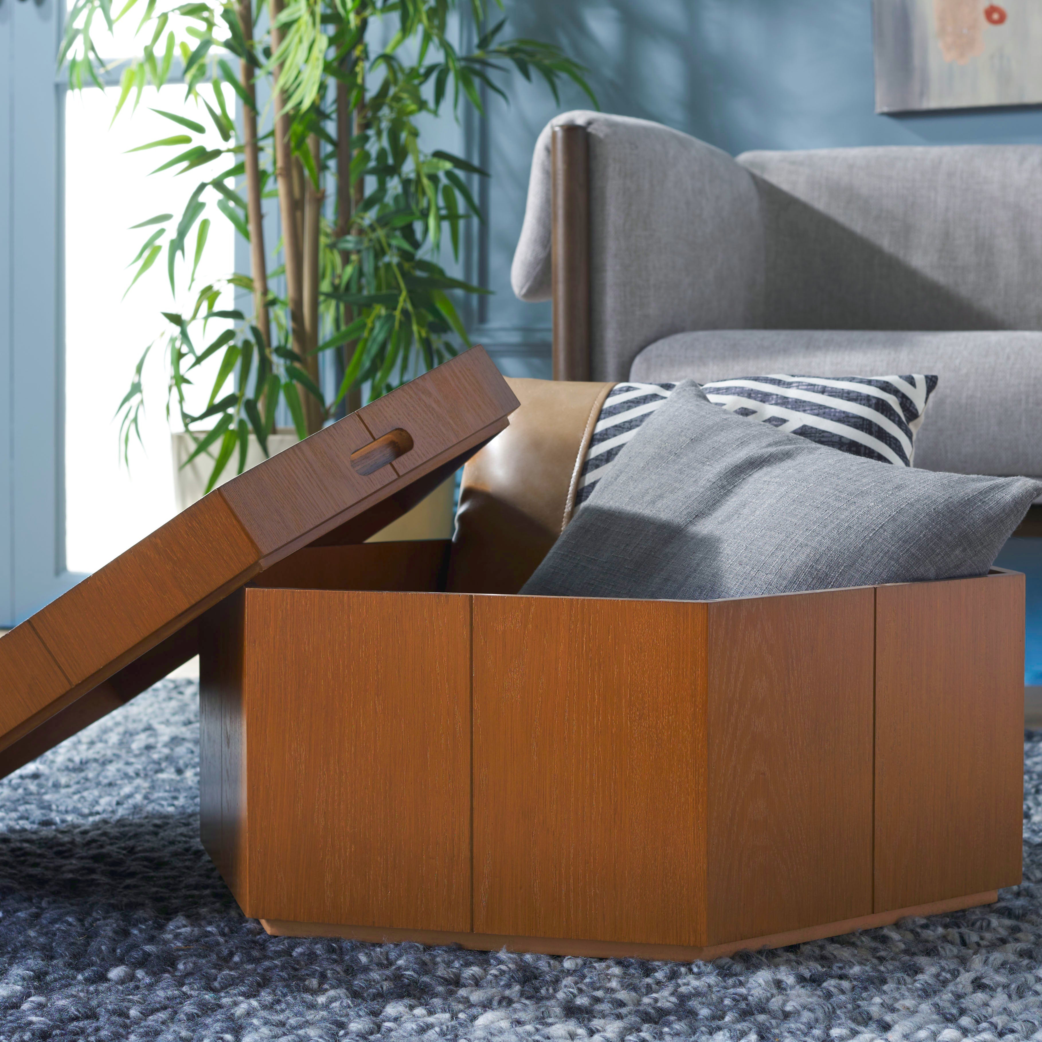 Safavieh Rafaela Hexagon Tray Top Coffee Table With Storage, COF9703