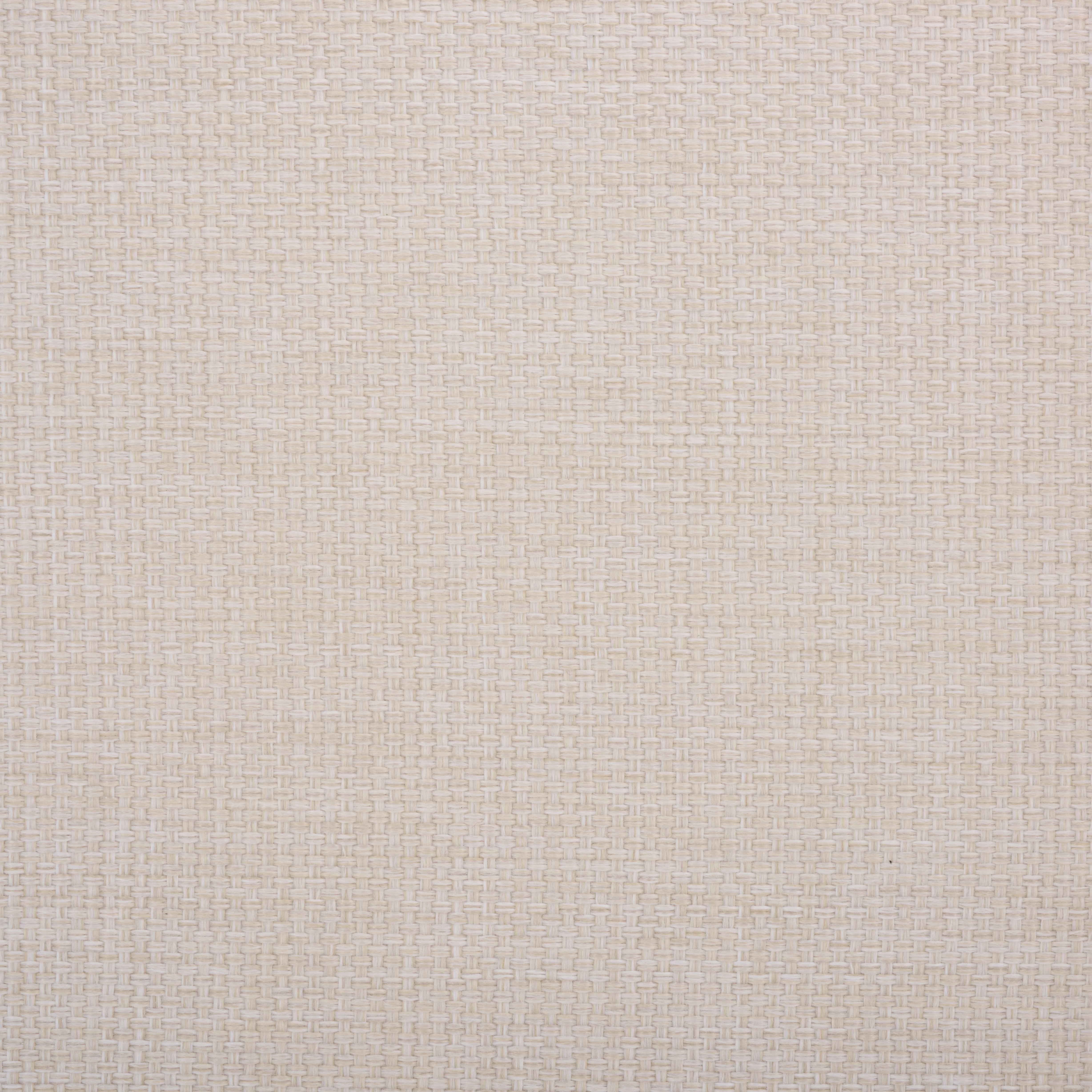 WHITE / NATURAL TEAK