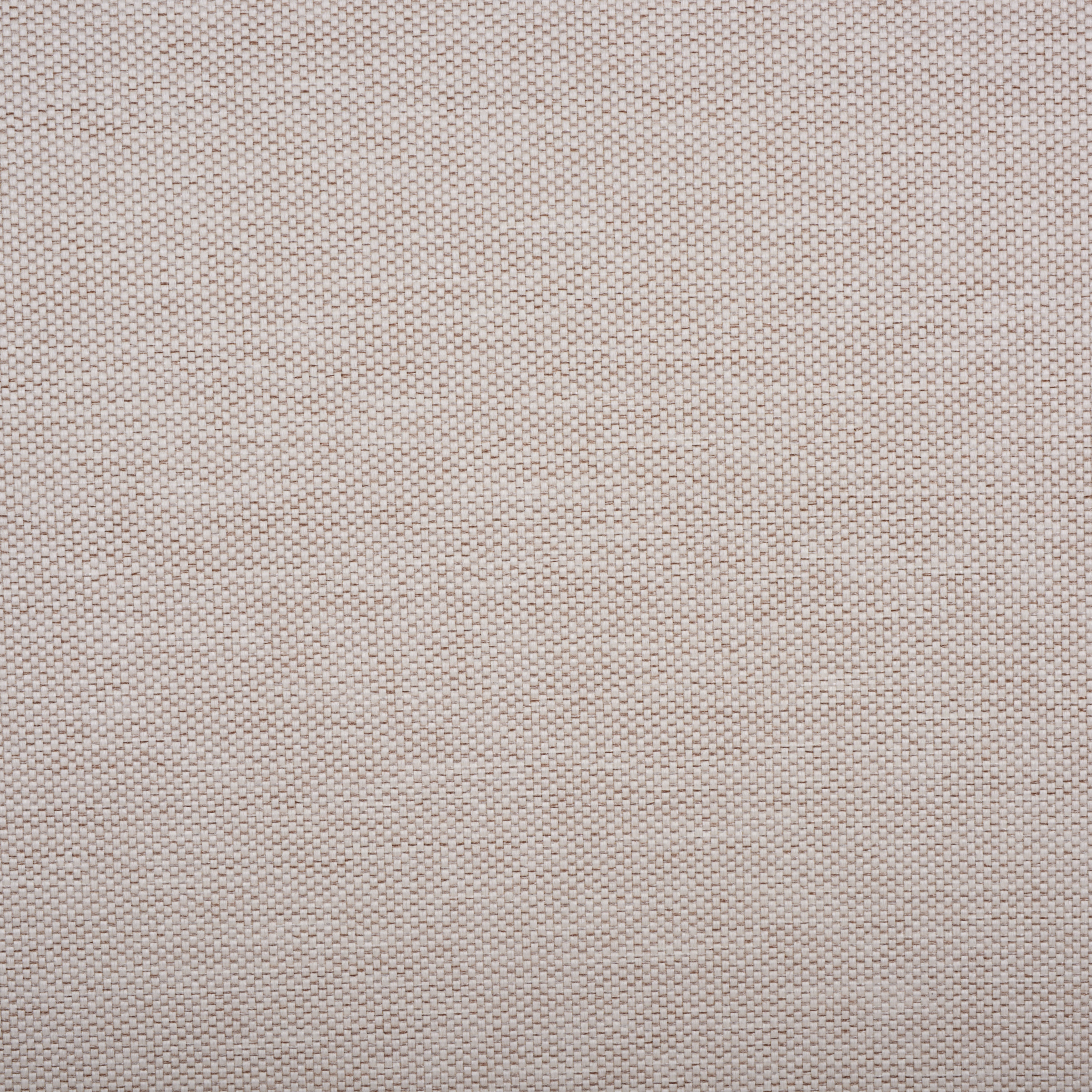WHITE / BEIGE