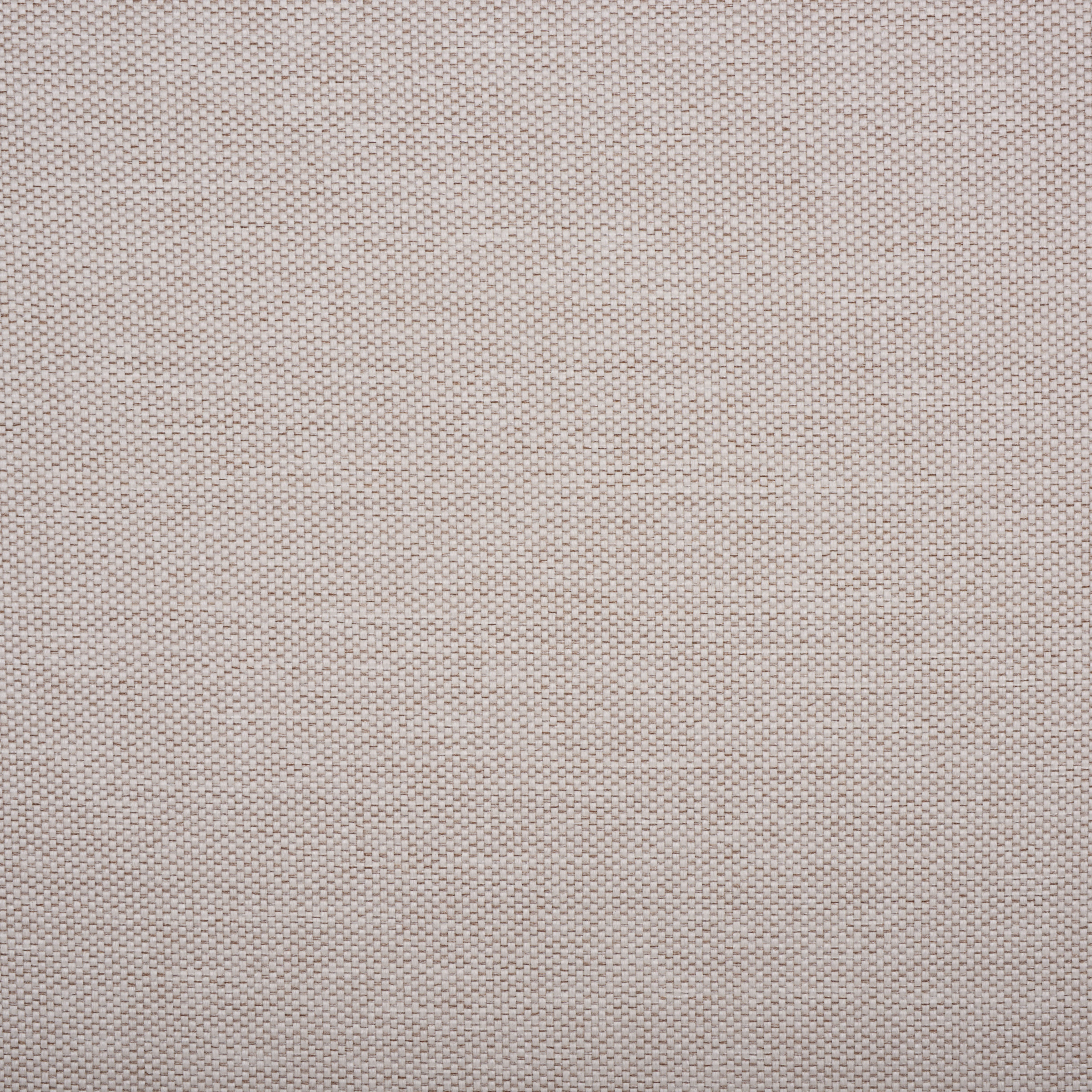 WHITE / BEIGE