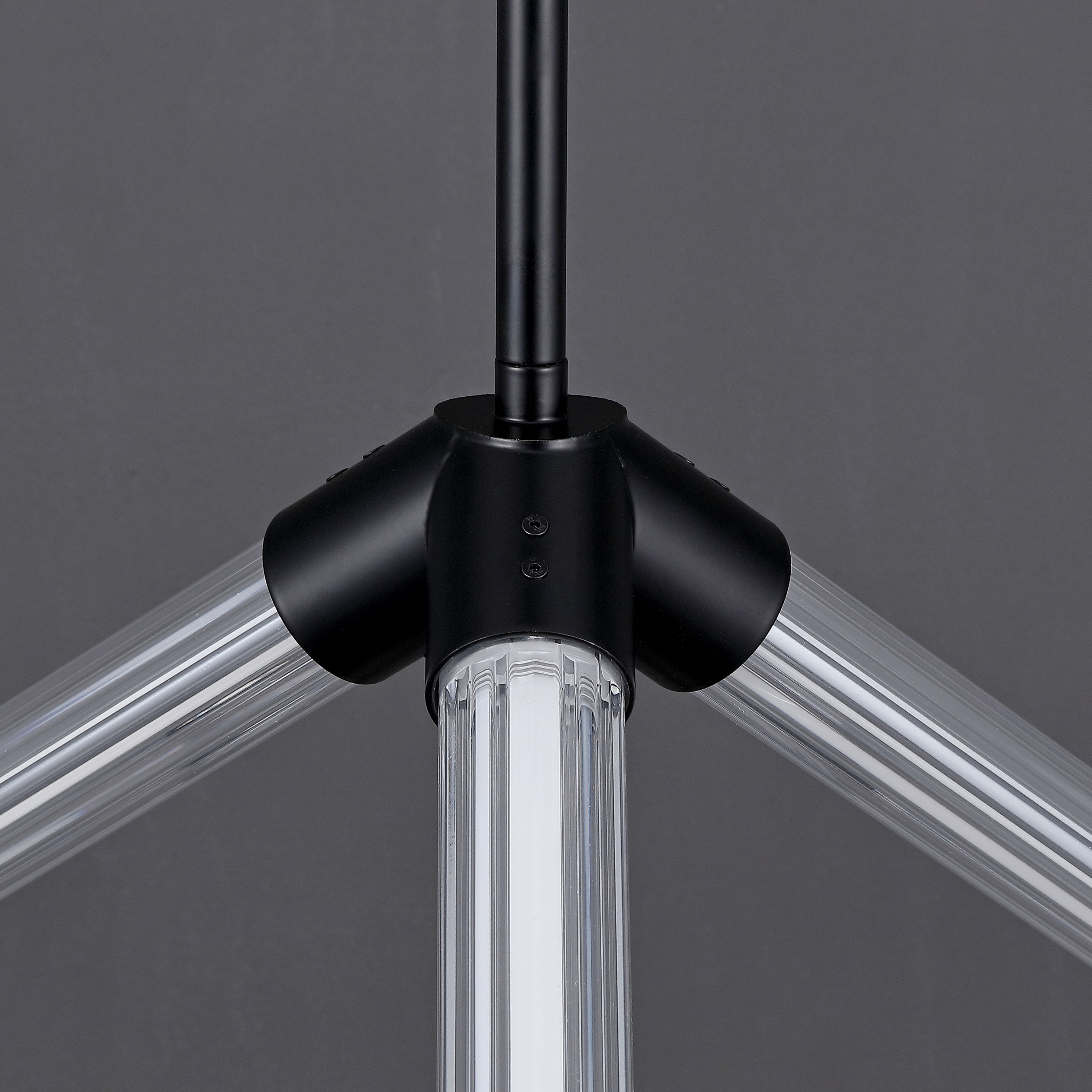 BLACK / CLEAR