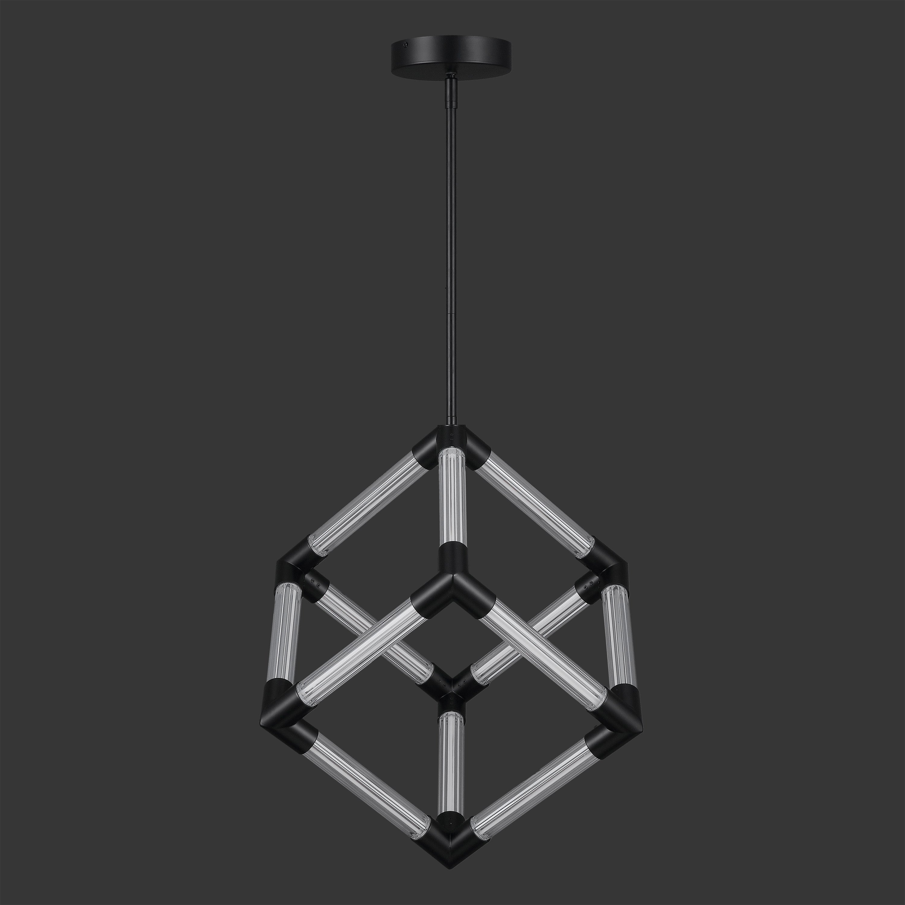 BLACK / CLEAR