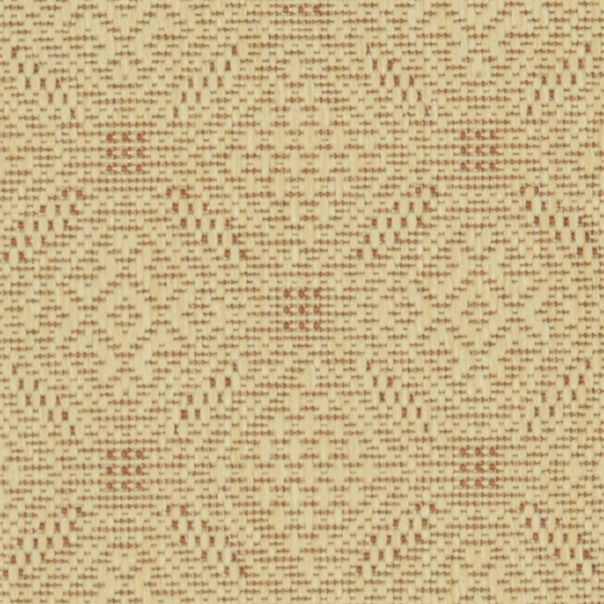 NATURAL / TERRA