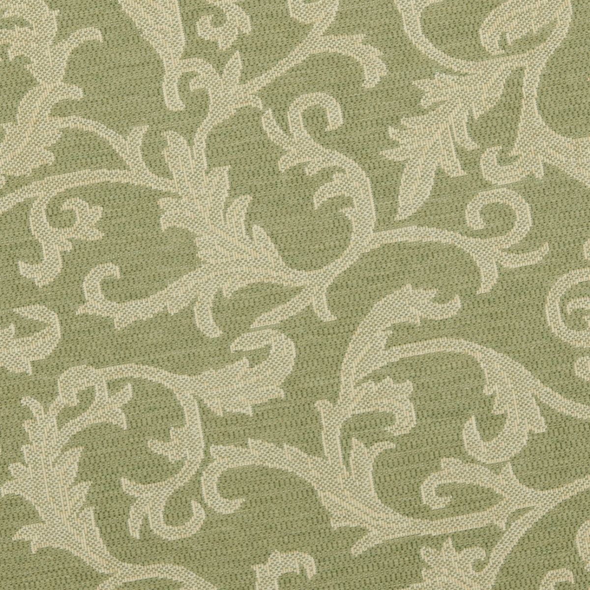 OLIVE / NATURAL