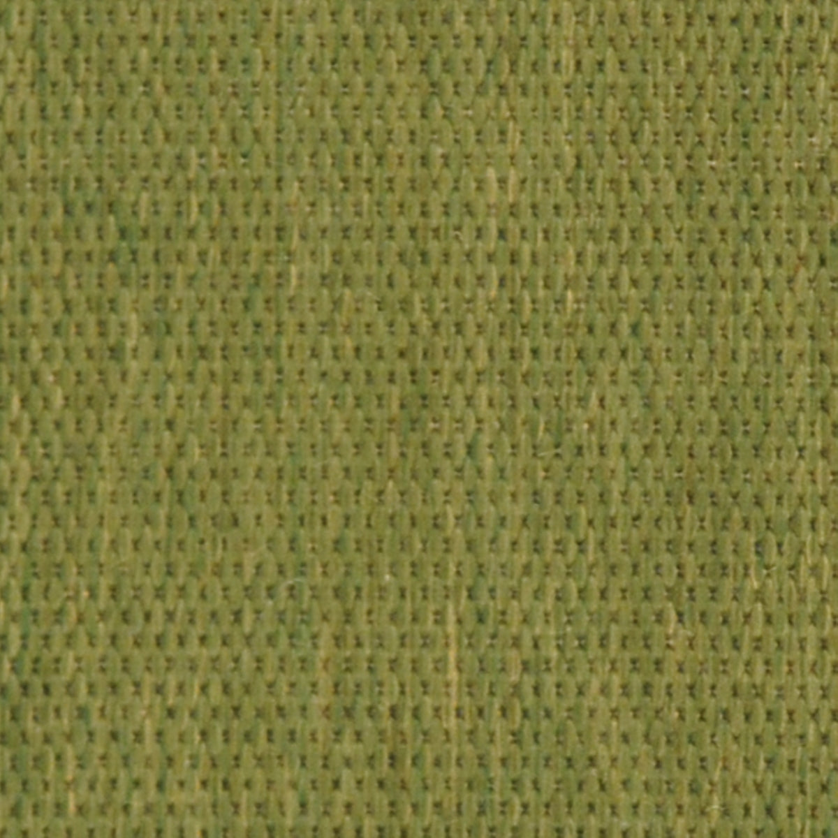 OLIVE / NATURAL