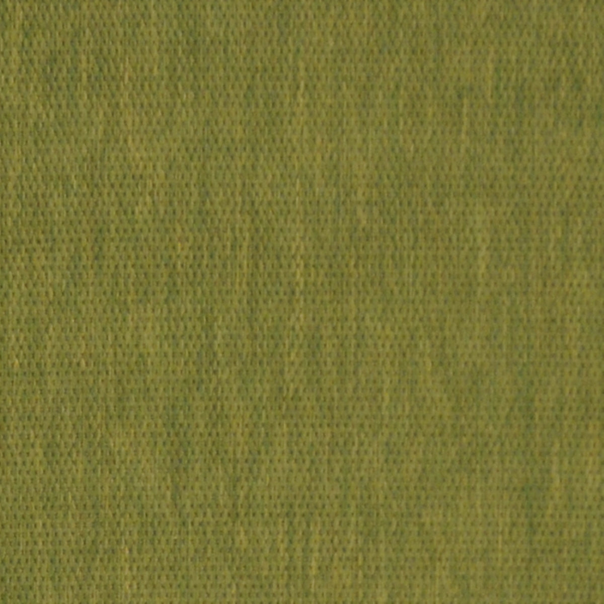 OLIVE / NATURAL