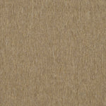 DARK BEIGE / BEIGE