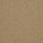 DARK BEIGE / BEIGE
