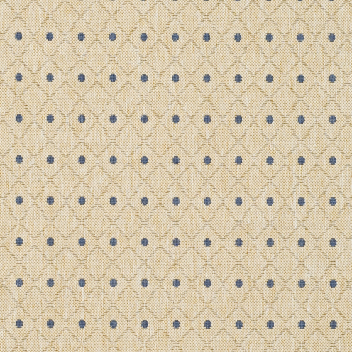 IVORY / BLUE