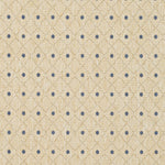 IVORY / BLUE