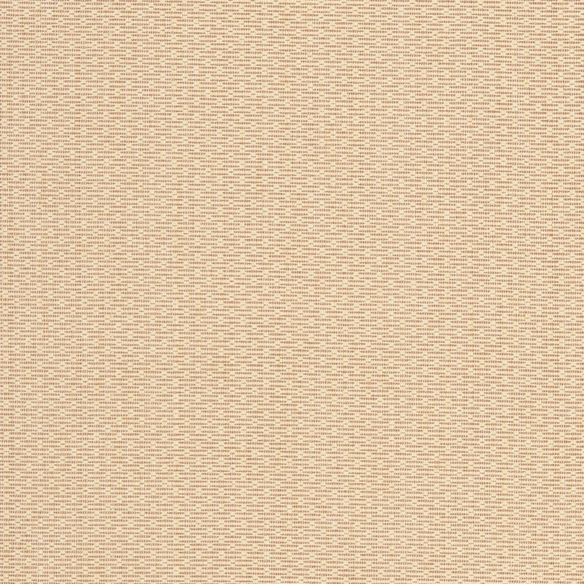CREAM / TERRACOTTA