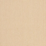 CREAM / TERRACOTTA