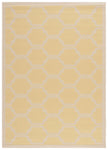YELLOW / BEIGE