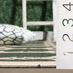 DARK GREEN / BEIGE