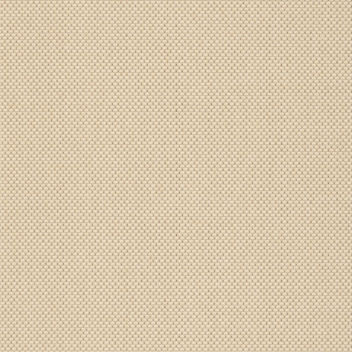 CREAM / LIGHT CHOCOLATE