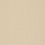 CREAM / LIGHT CHOCOLATE