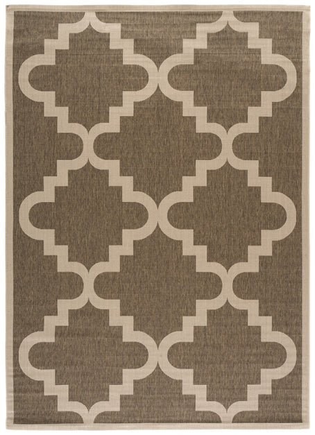 BROWN / BEIGE