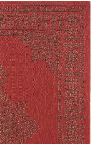 RED / CHOCOLATE