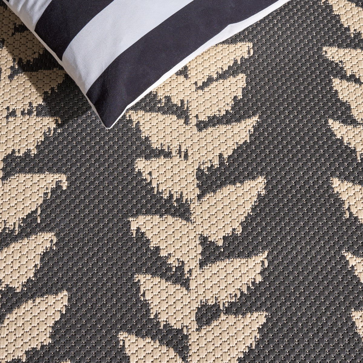 ANTHRACITE / BEIGE