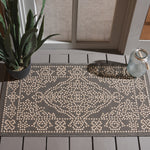 ANTHRACITE / BEIGE