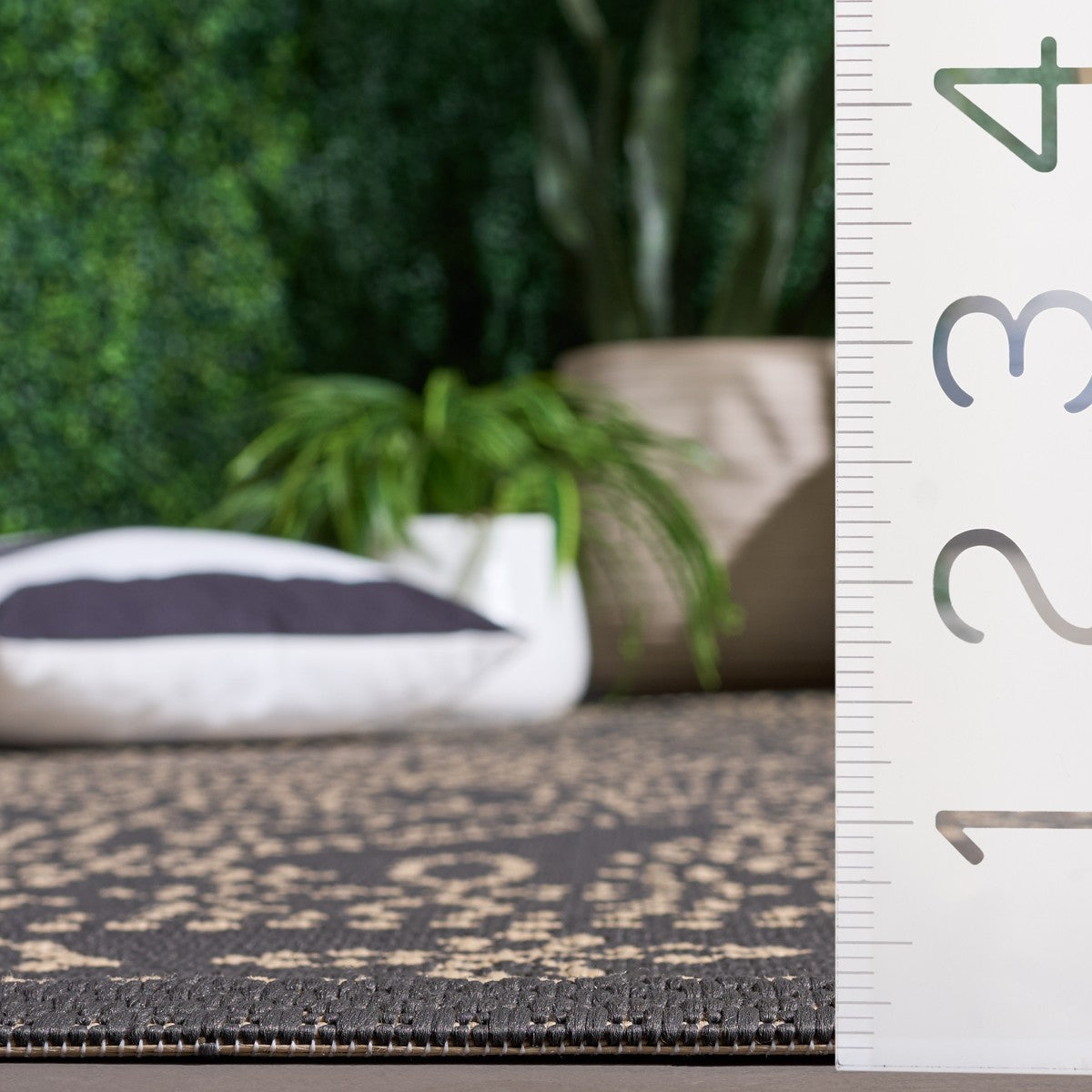 ANTHRACITE / BEIGE