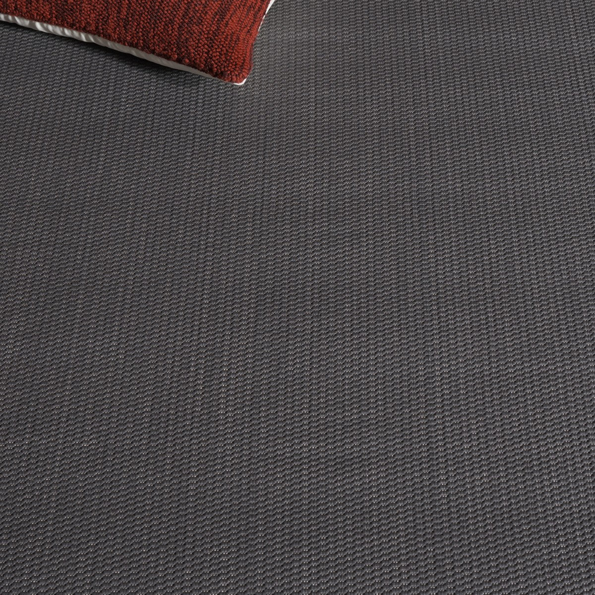 ANTHRACITE / LIGHT BEIGE