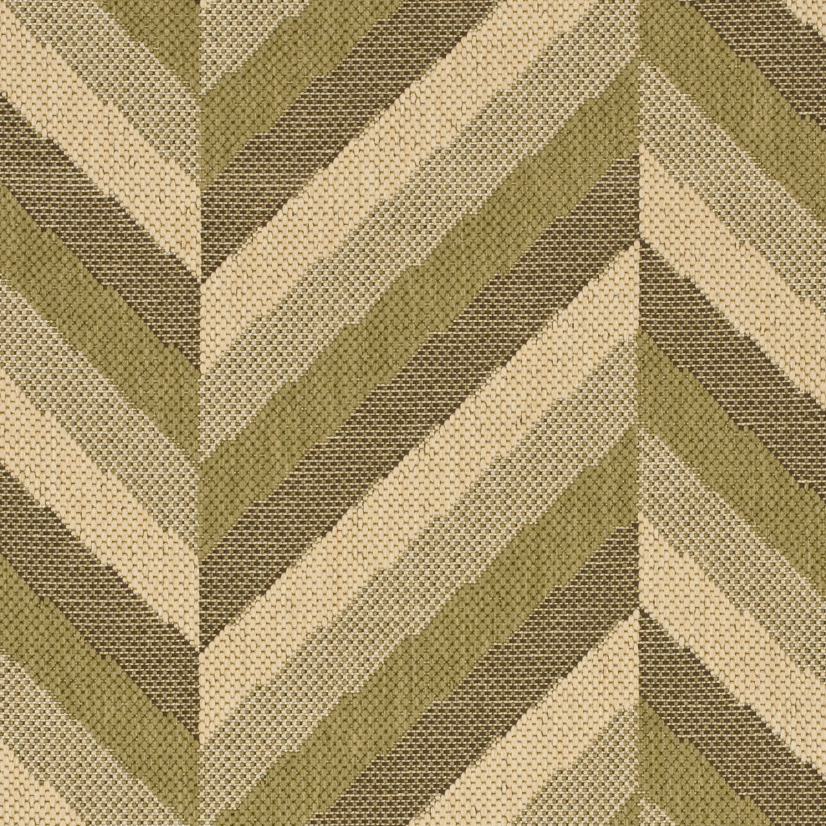 CREAM / GREEN