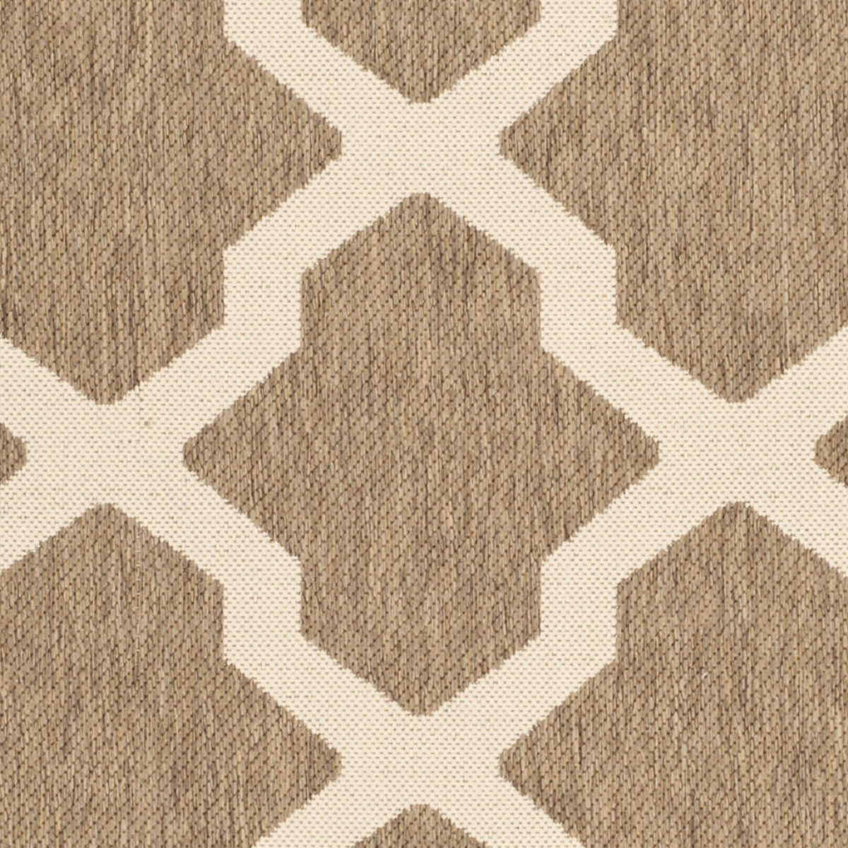 BROWN / BONE