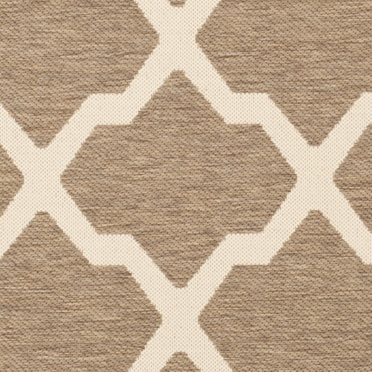 BROWN / BONE