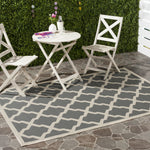 ANTHRACITE / BEIGE