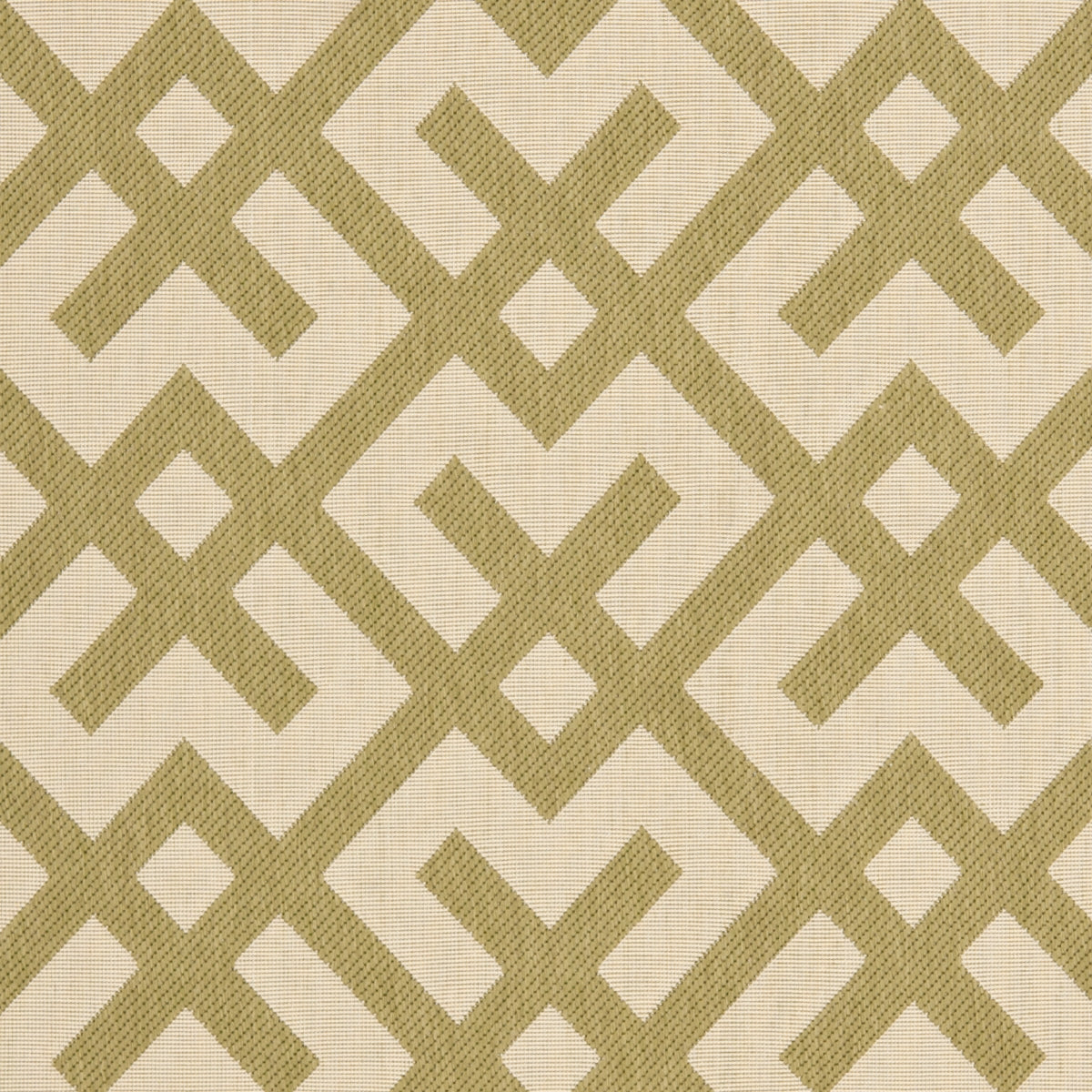 BEIGE / GREEN
