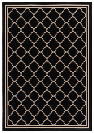 Safavieh Courtyard 691 Rug, CY6918 (226-242)