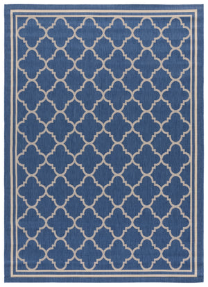 Safavieh Courtyard 691 Rug, CY6918 (243-246)