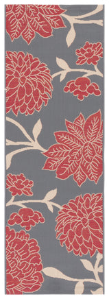 ANTHRACITE / RED