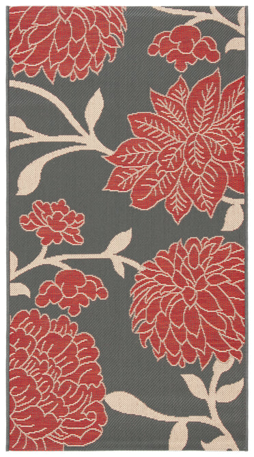 ANTHRACITE / RED