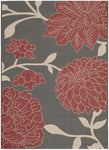 ANTHRACITE / RED