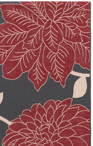 ANTHRACITE / RED