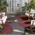ANTHRACITE / RED